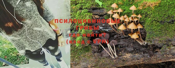 хмурый Абинск